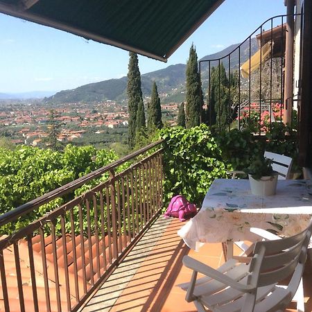 Belvedere 10 Pietrasanta Luaran gambar