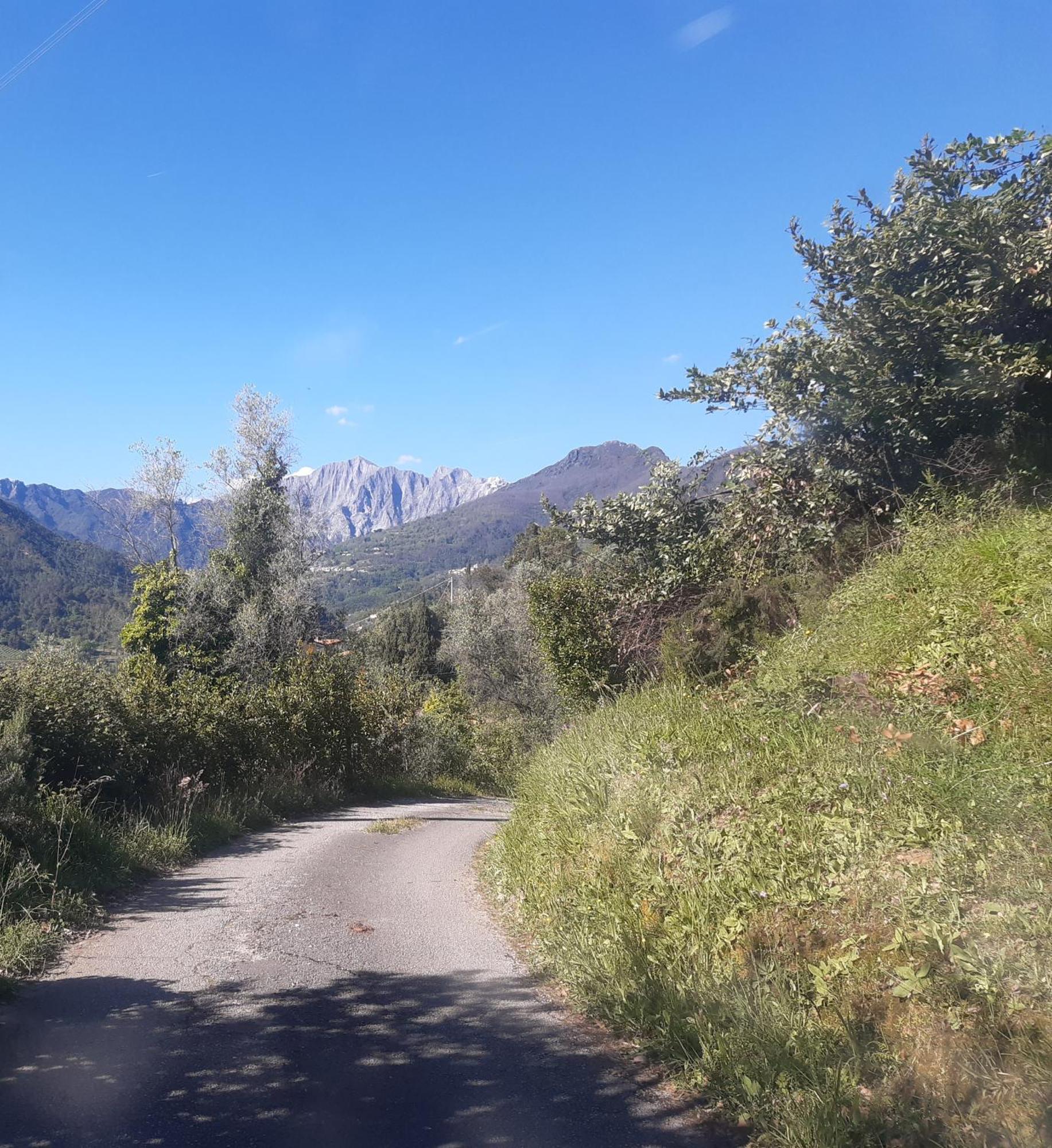 Belvedere 10 Pietrasanta Luaran gambar